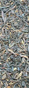 Südindien Tee Nilgiri Bio
